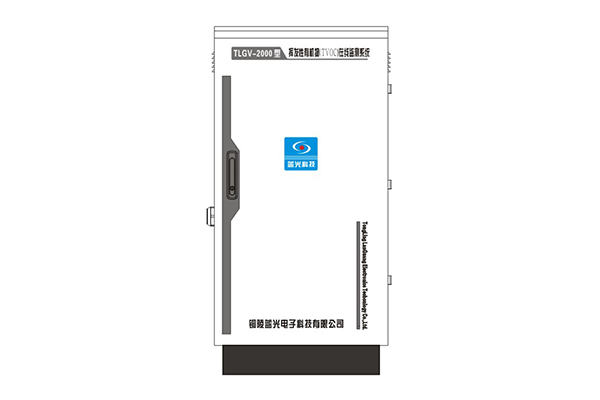 TLGV-2000型挥发性有机物（TVOC）在线监测系统