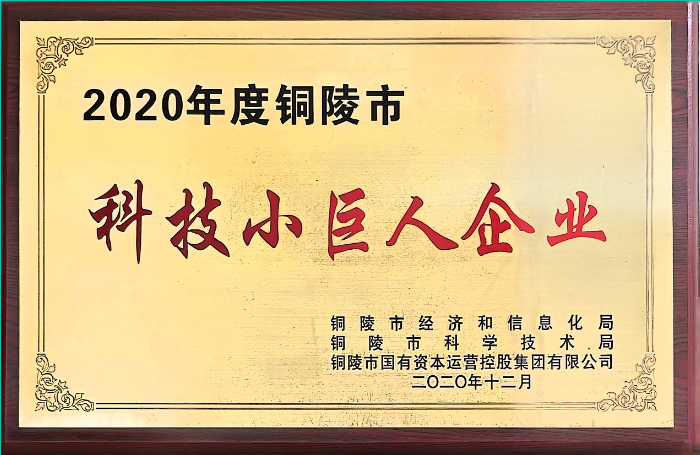 铜陵市科技小巨人企业
