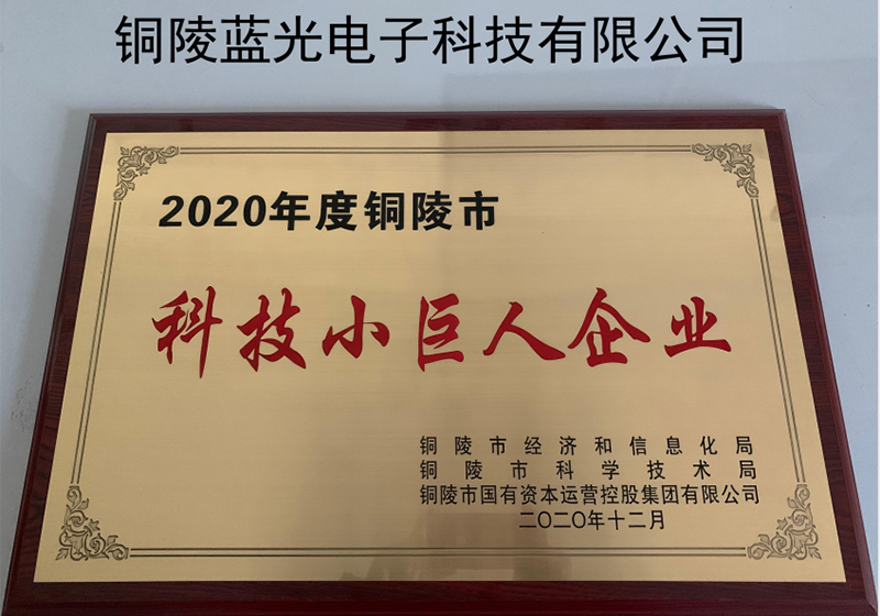 铜陵市科技小巨人企业.png